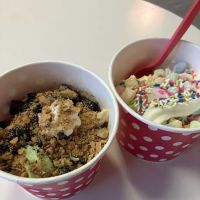 Build Your Yogurt ico