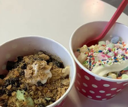 Build Your Yogurt