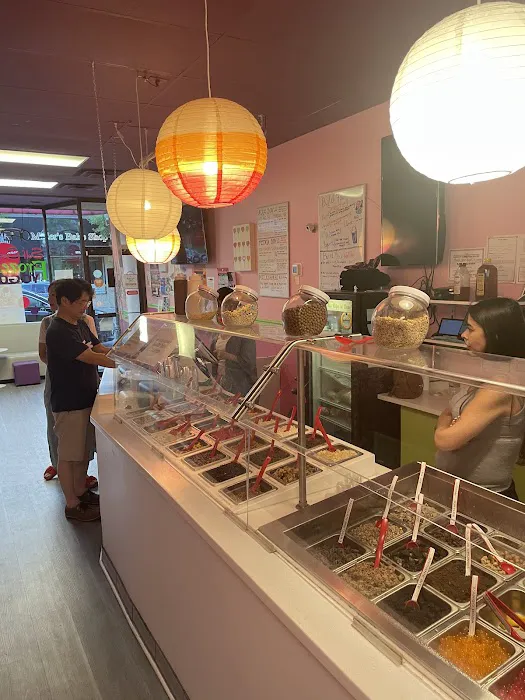 Build Your Yogurt Picture 5