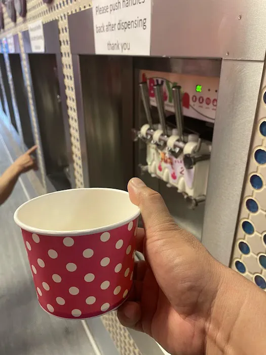Build Your Yogurt Picture 3