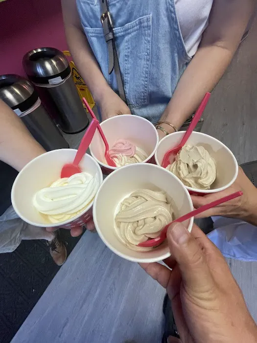 Build Your Yogurt Picture 2