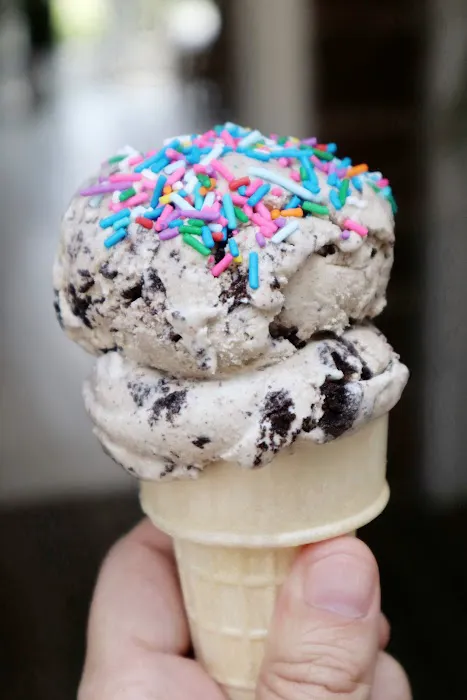 Sugarfly Ice Cream Shop Picture 2