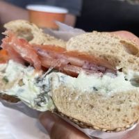Bagel Zone 2 ico