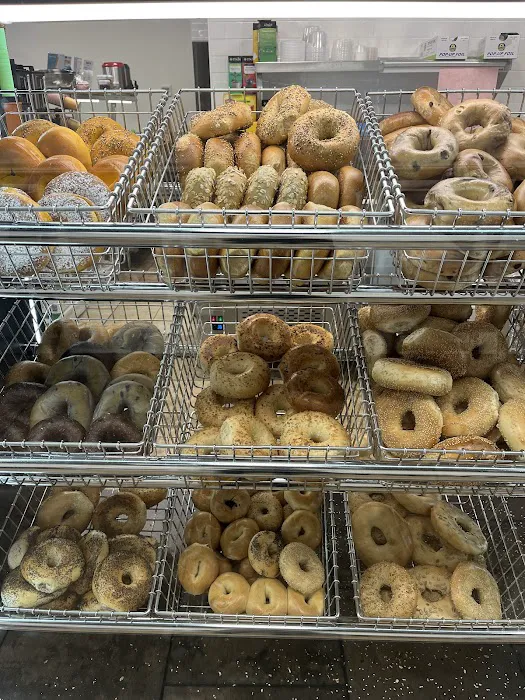 Bagel Zone 2 Picture 10