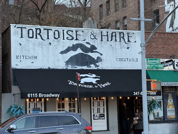 Tortoise & Hare Picture 10