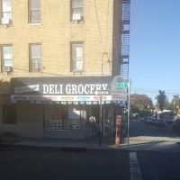 871 Bronx Wood Deli Inc ico