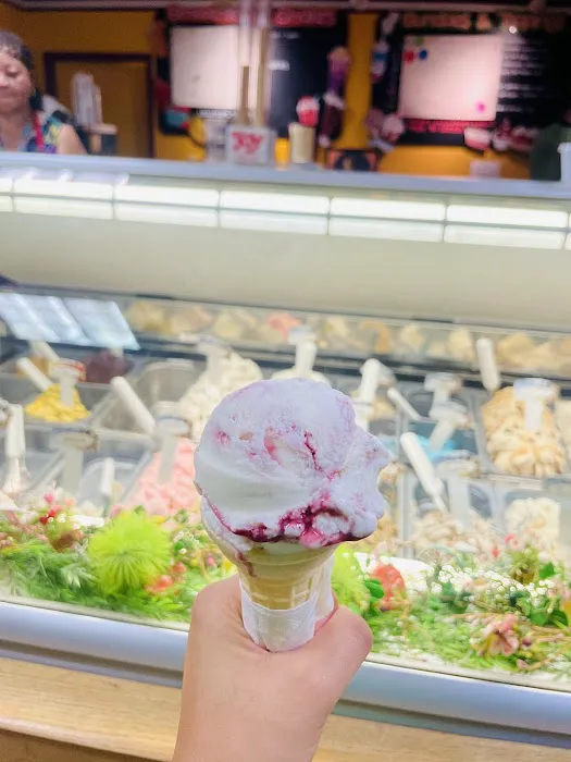 Lollipops Ice Cream And Gelato Picture 6