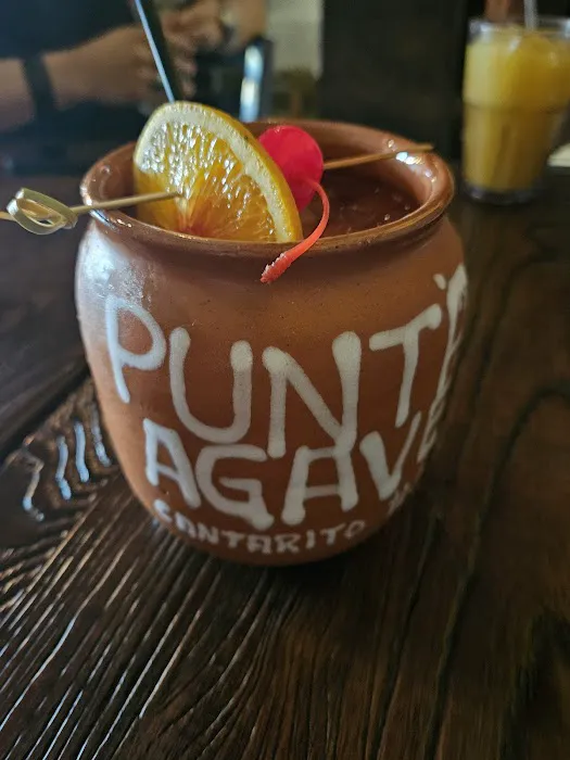 Punta Agave Picture 4