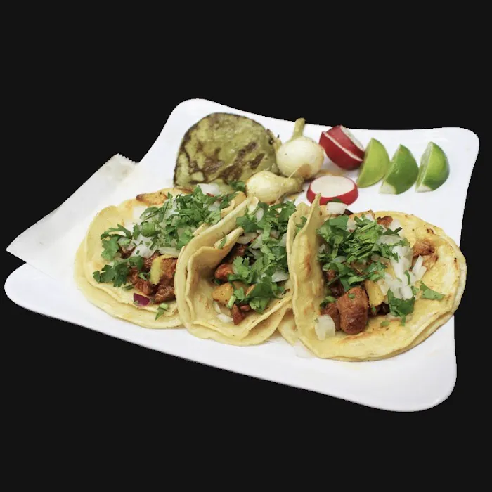 Margarita's Restaurant & Lounge Picture 10
