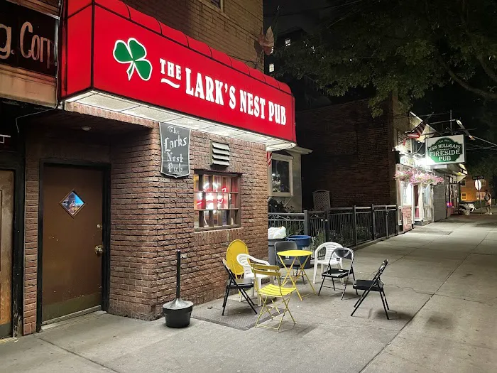 The Lark's Nest Pub Picture 2