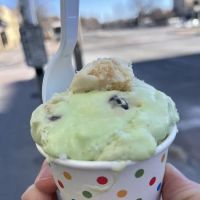 Paleteria La Michoacana ico