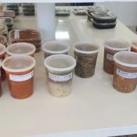 Mom’s kitchen 맘스키친 ico
