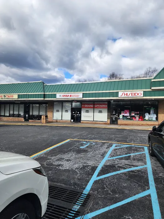 ONGA Korean Restaurant Picture 2