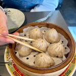 FANCY DUMPLING INC