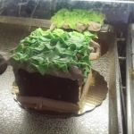 Butterflake Bakeshop