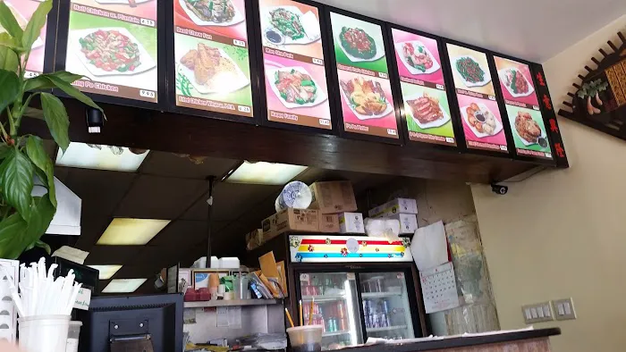 New Asia Restaurant Picture 7