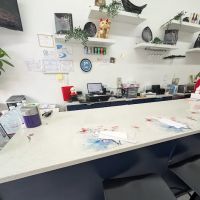 Sushi Nabi ico