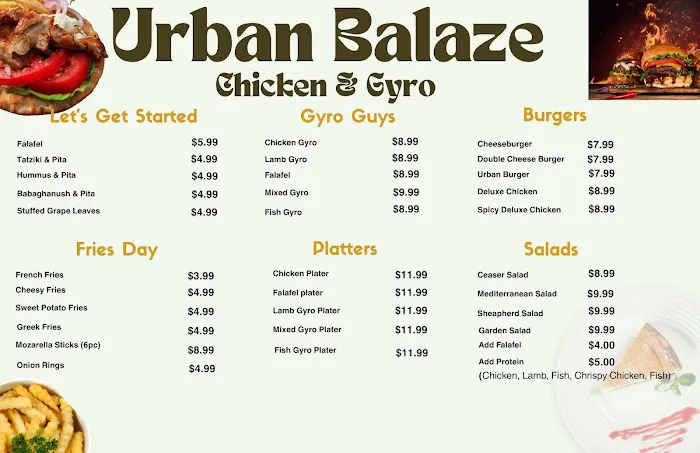 Urban Blaze Chicken & Gyro Picture 1
