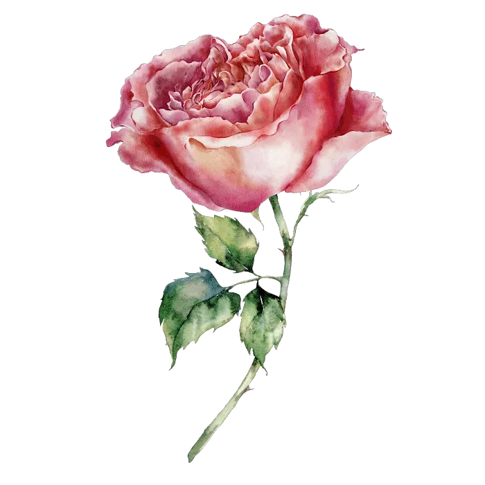 La Valse des Fleurs Picture 9