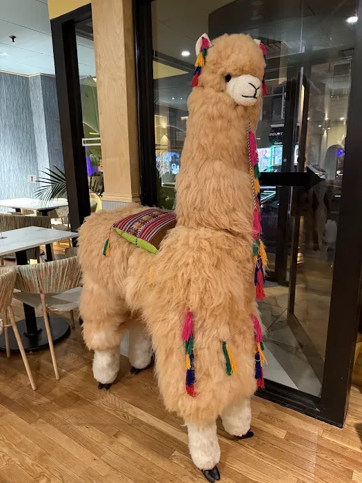 LLAMA HOUSE Picture 8