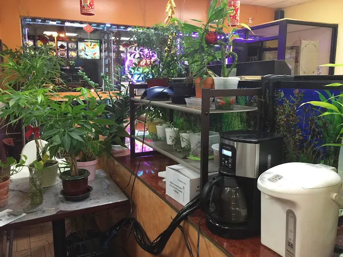 Sheng Garden Chinese Restaurant Picture 4