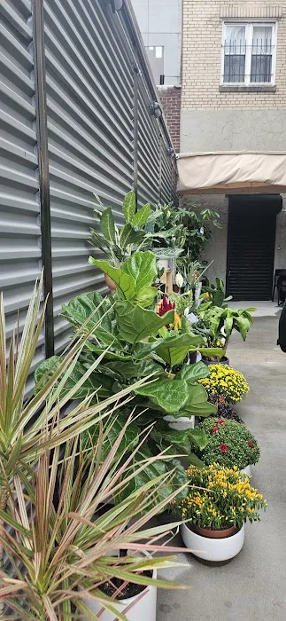 Florist Bar Co. Picture 5