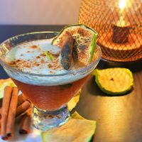 PARTY HOUSE BAR & LOUNGE ico