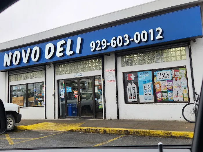Novo Deli Picture 2