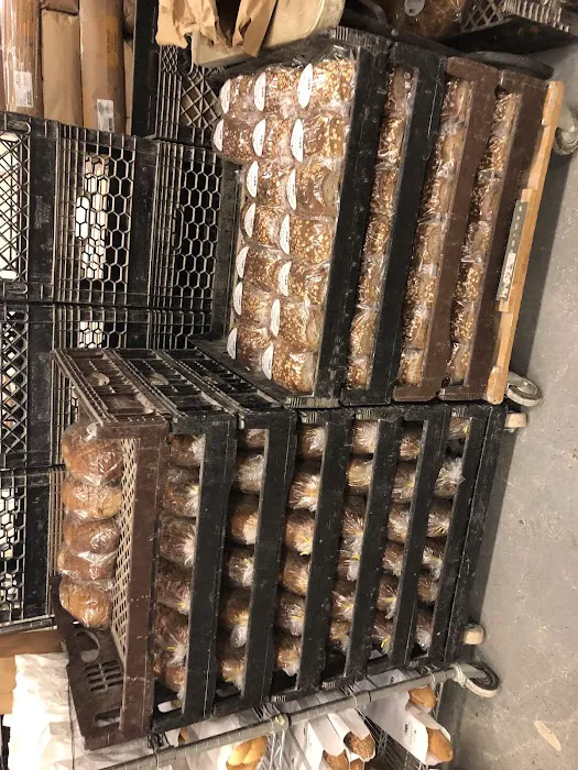 Solina Bakery Inc Picture 2