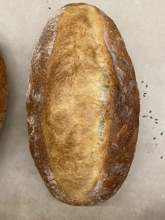 Solina Bakery Inc Picture 4