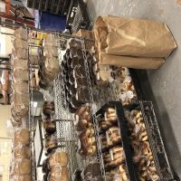 Solina Bakery Inc ico