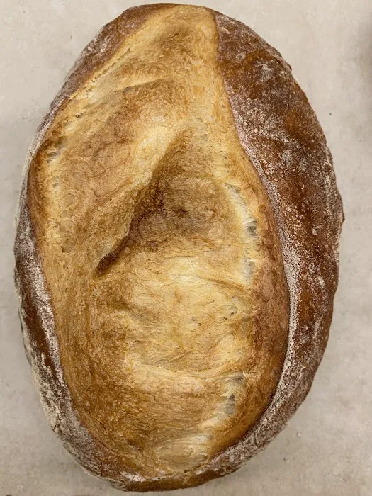 Solina Bakery Inc Picture 3