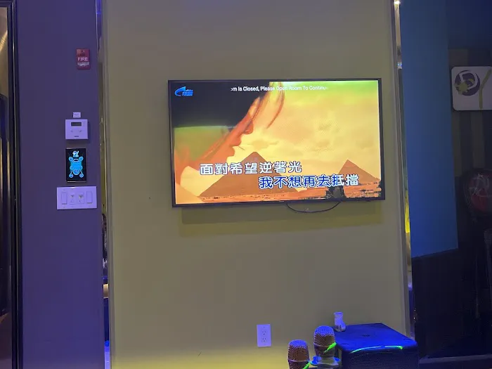 DIY KTV Flagship Store Picture 1
