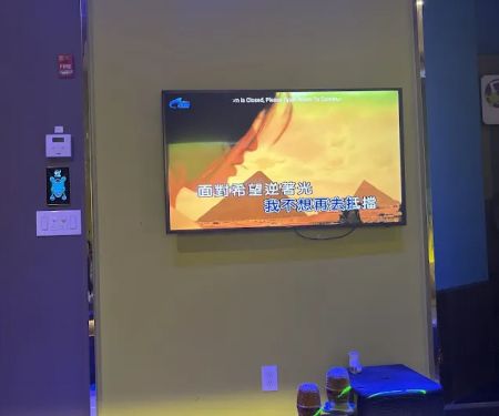 DIY KTV Flagship Store