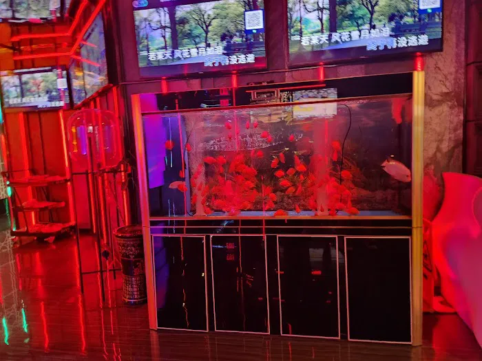 DIY KTV Flagship Store Picture 6