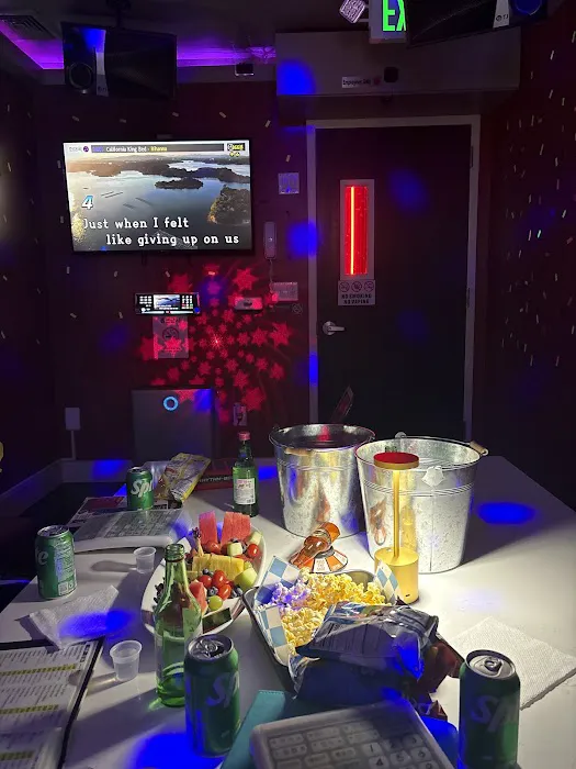 Singing Karaoke Club Picture 2