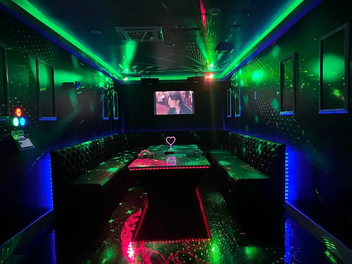 Singing Karaoke Club Picture 6