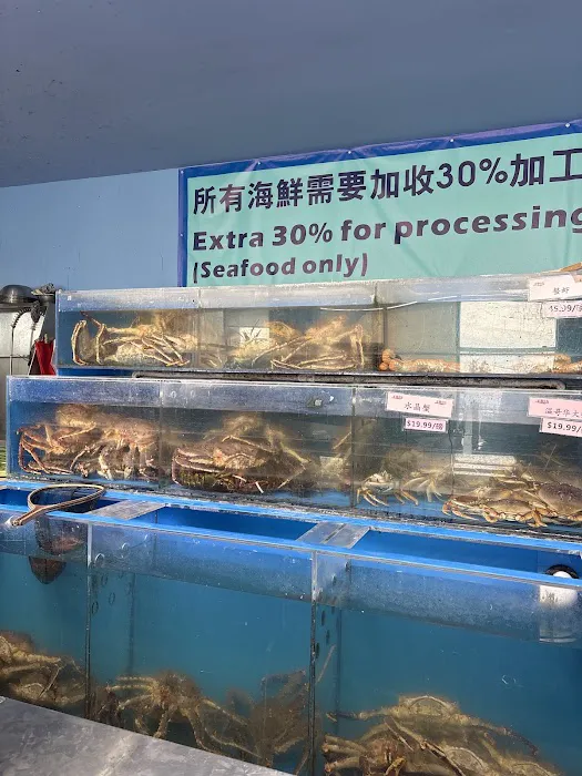 Fish Village Picture 2