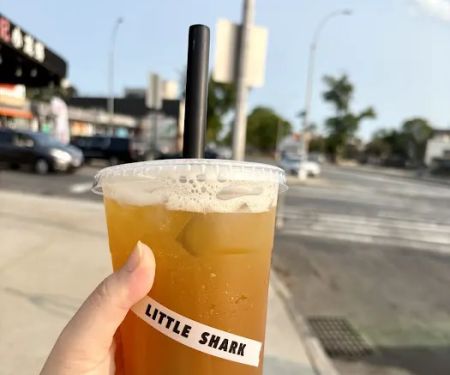 LITTLE SHARK