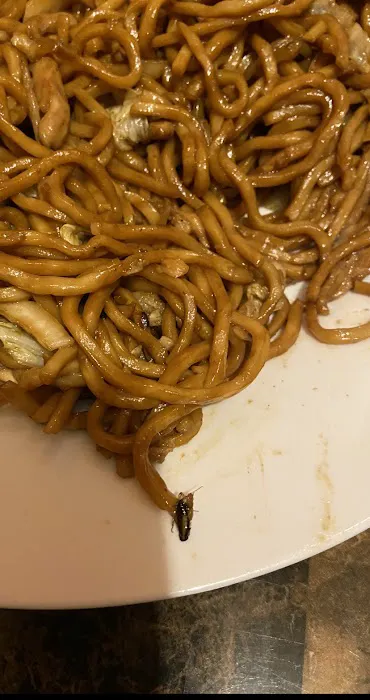 King Wok Picture 5