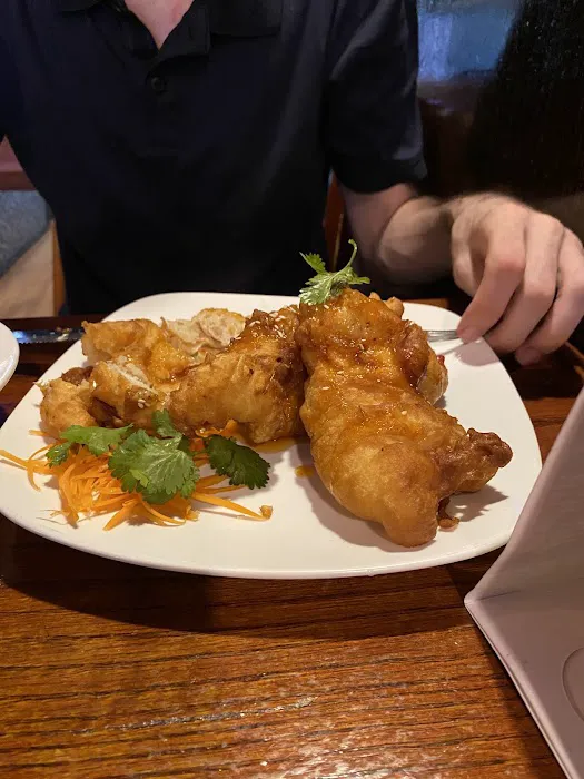 Tana Thai Restaurant Picture 7