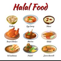 Fusion Halal Kitchen ico
