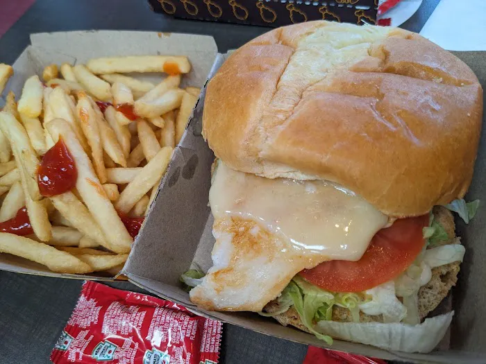 Tex’s Chicken & Burgers Picture 1