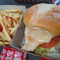 Tex’s Chicken & Burgers ico