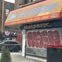 Alex Deli Grocery ico