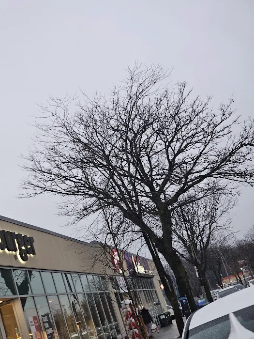 Red Ribbon Bakeshop Picture 10