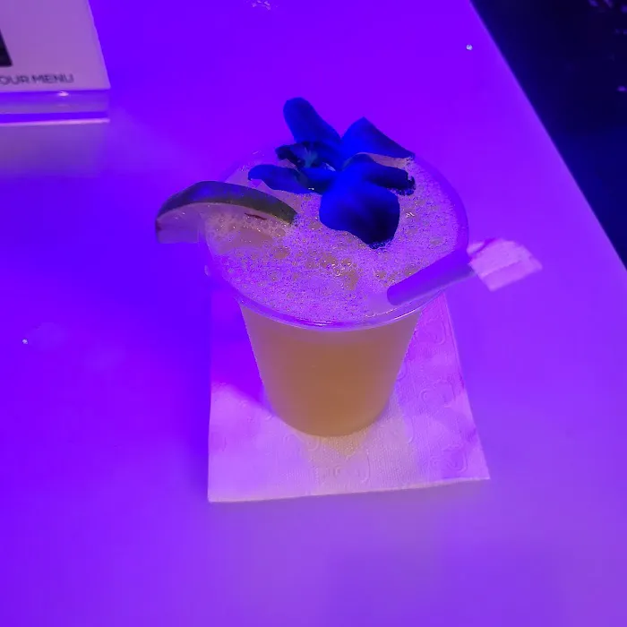 Island Cz Lounge Picture 10