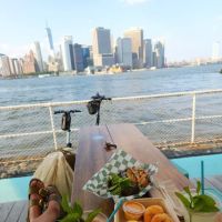 Island Oyster ico