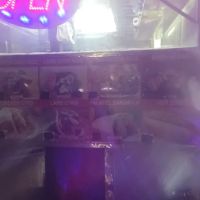 SARAH HALAL FOOD ico