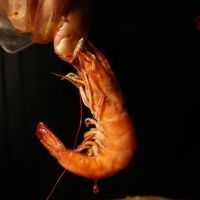 Cap't Loui - Cajun Seafood Boil ico